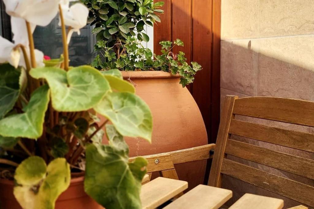 Vintage & Deluxe Apartments بويرتو ديل روزاريو المظهر الخارجي الصورة