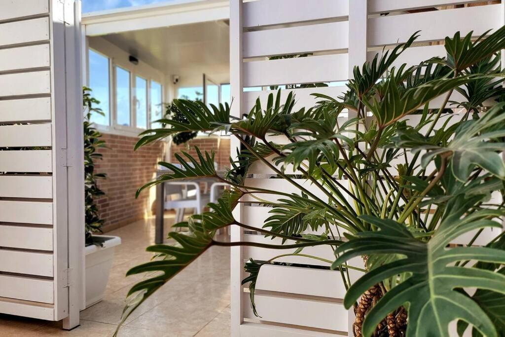 Vintage & Deluxe Apartments بويرتو ديل روزاريو المظهر الخارجي الصورة