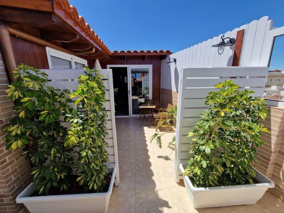Vintage & Deluxe Apartments بويرتو ديل روزاريو المظهر الخارجي الصورة