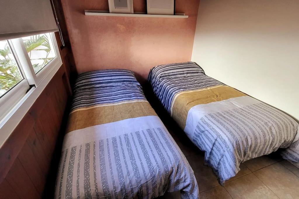 Vintage & Deluxe Apartments بويرتو ديل روزاريو المظهر الخارجي الصورة