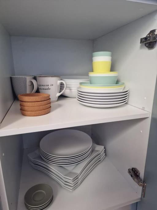 Vintage & Deluxe Apartments بويرتو ديل روزاريو المظهر الخارجي الصورة