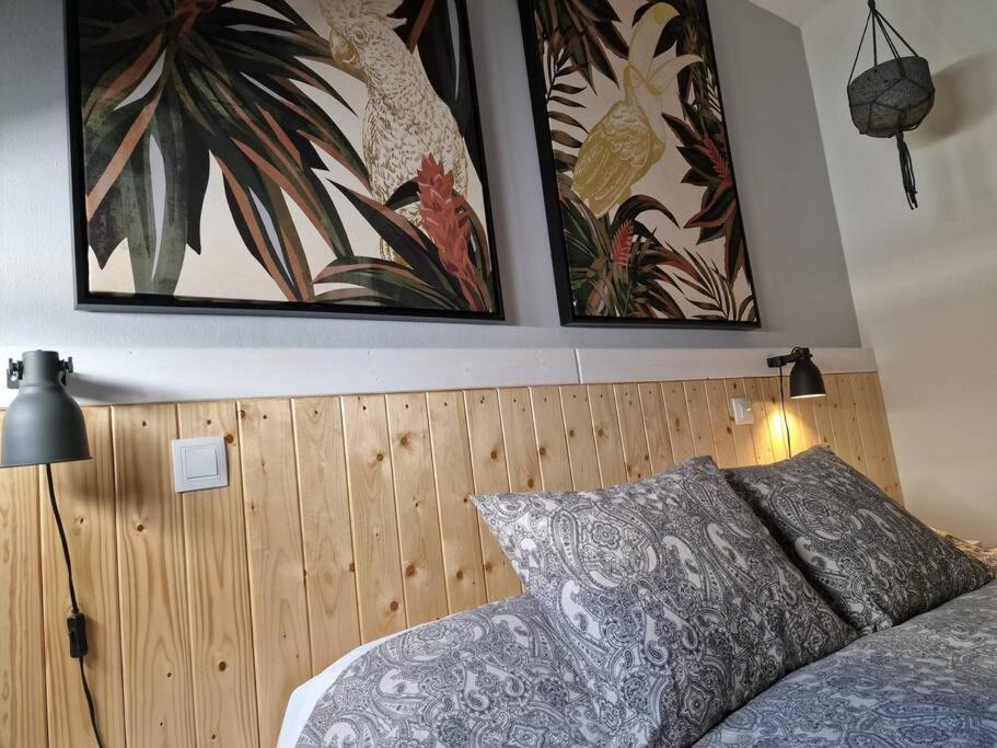 Vintage & Deluxe Apartments بويرتو ديل روزاريو المظهر الخارجي الصورة