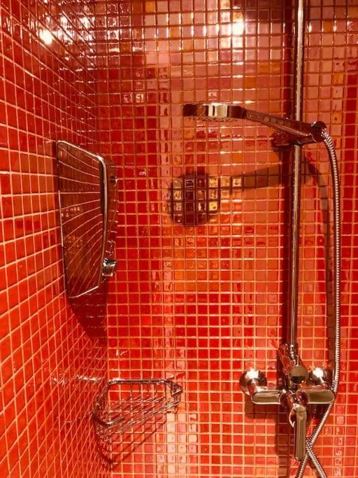 Vintage & Deluxe Apartments بويرتو ديل روزاريو المظهر الخارجي الصورة
